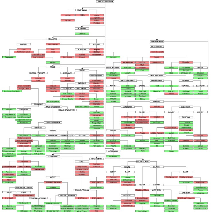 Wikipedia Albero lingue indoeuropee